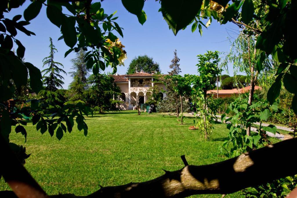 מאסה La Coralia B&B מראה חיצוני תמונה
