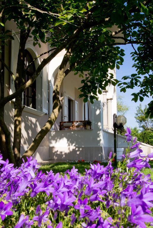 מאסה La Coralia B&B מראה חיצוני תמונה